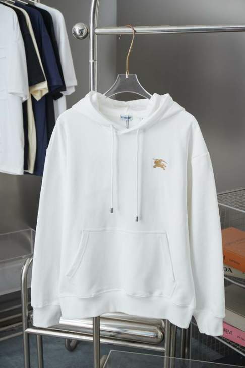 Picture of Burberry Hoodies _SKUBurberryS-XLhgntx011873